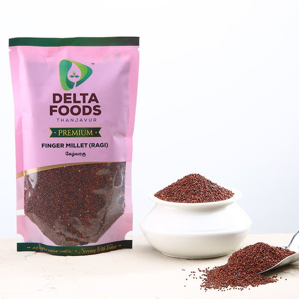 Finger Millet ( Kelvaragu) – Delta Foods Thanjavur